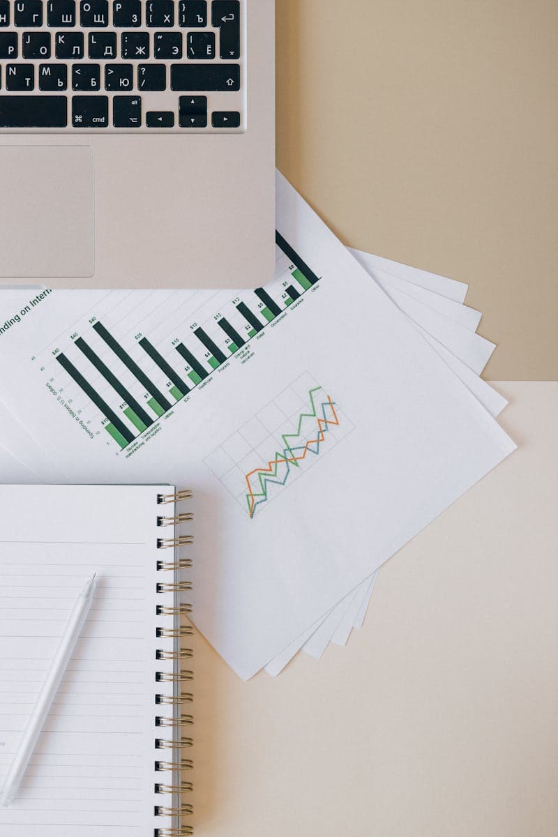 Monthly accounts your board will actually read.